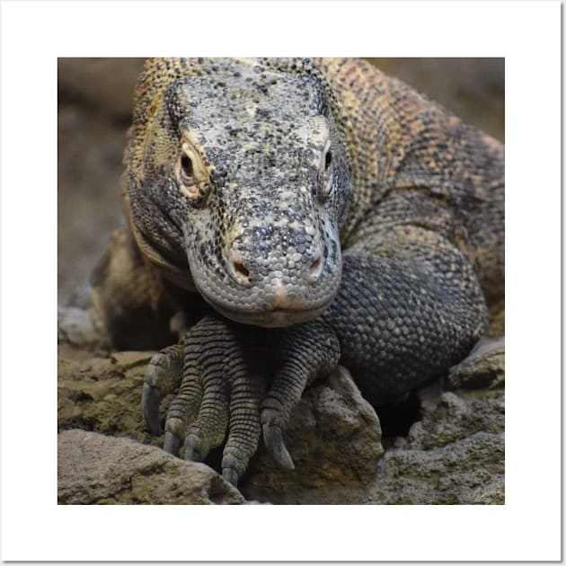 Komodo Dragon Wall Art by Sharonzoolady